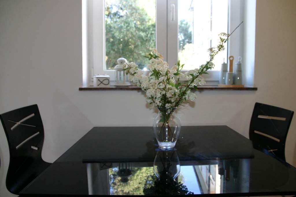 Vicy Apartment Novalja Zewnętrze zdjęcie
