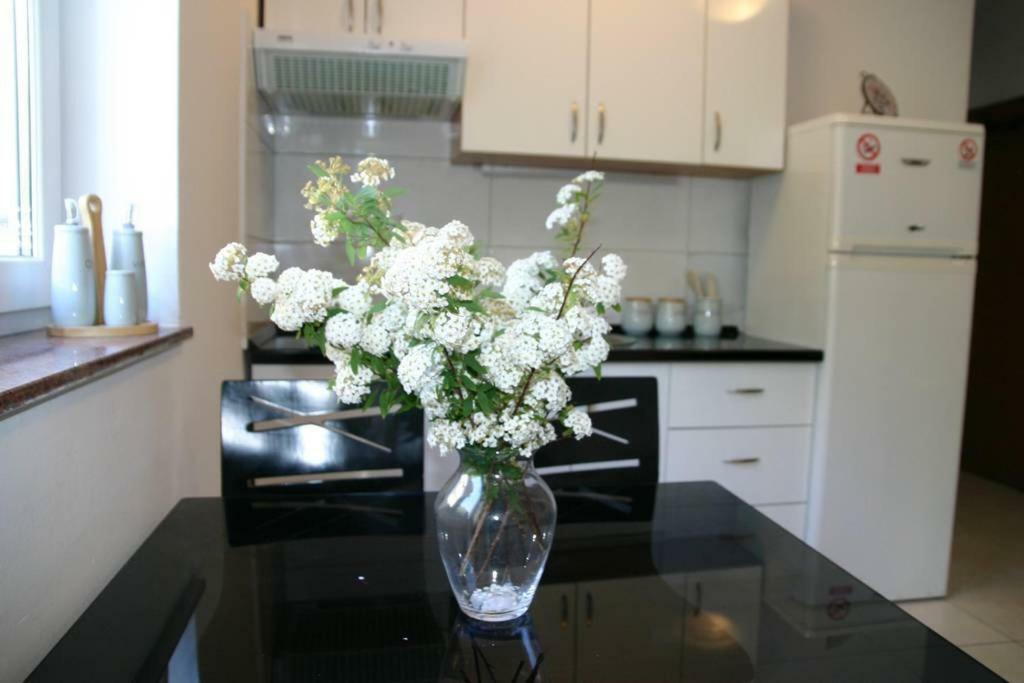 Vicy Apartment Novalja Zewnętrze zdjęcie